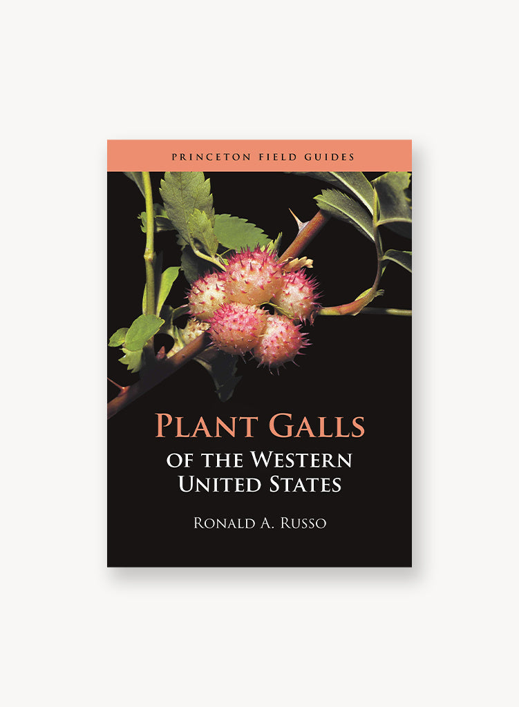 plant-galls-of-the-western-us.jpg