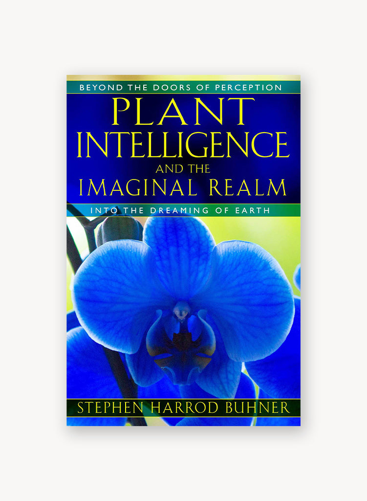 Plant Intelligence and the Imaginal Realm: Beyond the Doors of Perception into the Dreaming of Earth