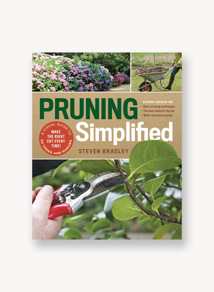 Pruning Simplified