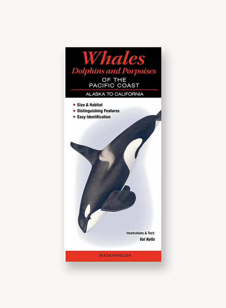 Quick Reference- Whales, Dolphins and Porpoises of the Pacific Coast