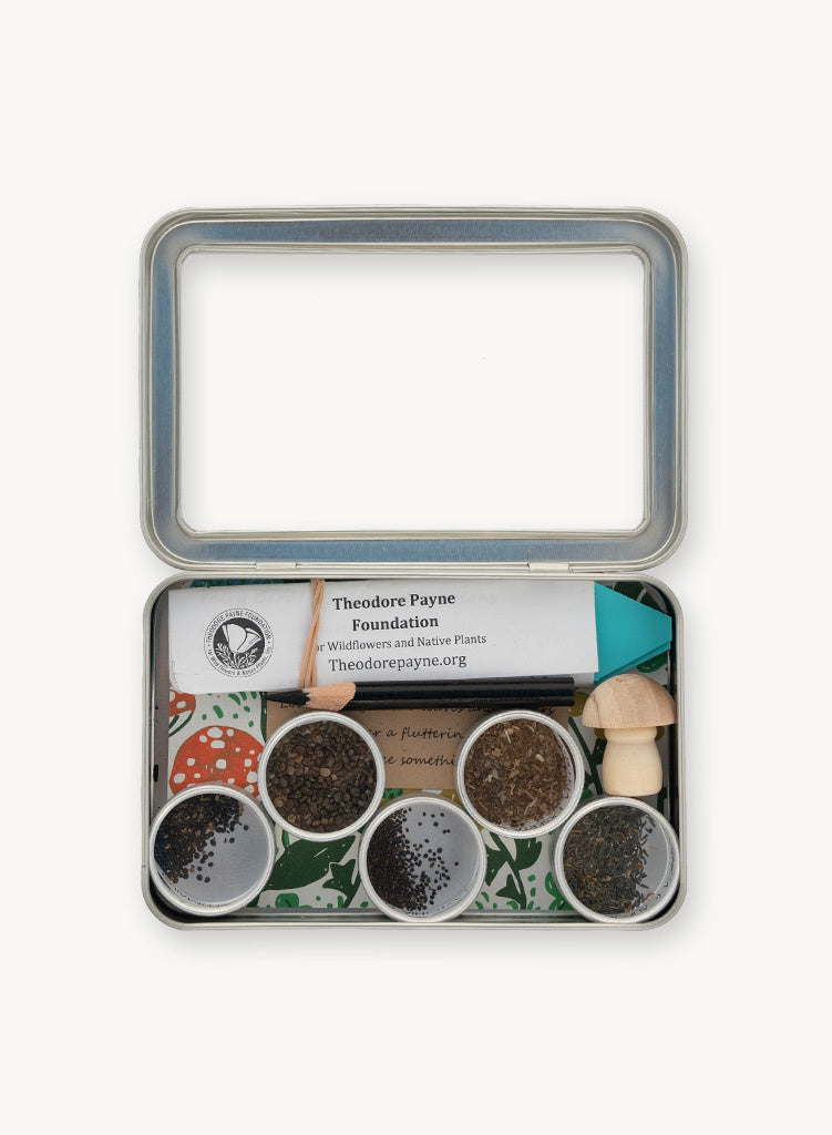 fairy garden plant seeds Fairy Garden Seed Collection