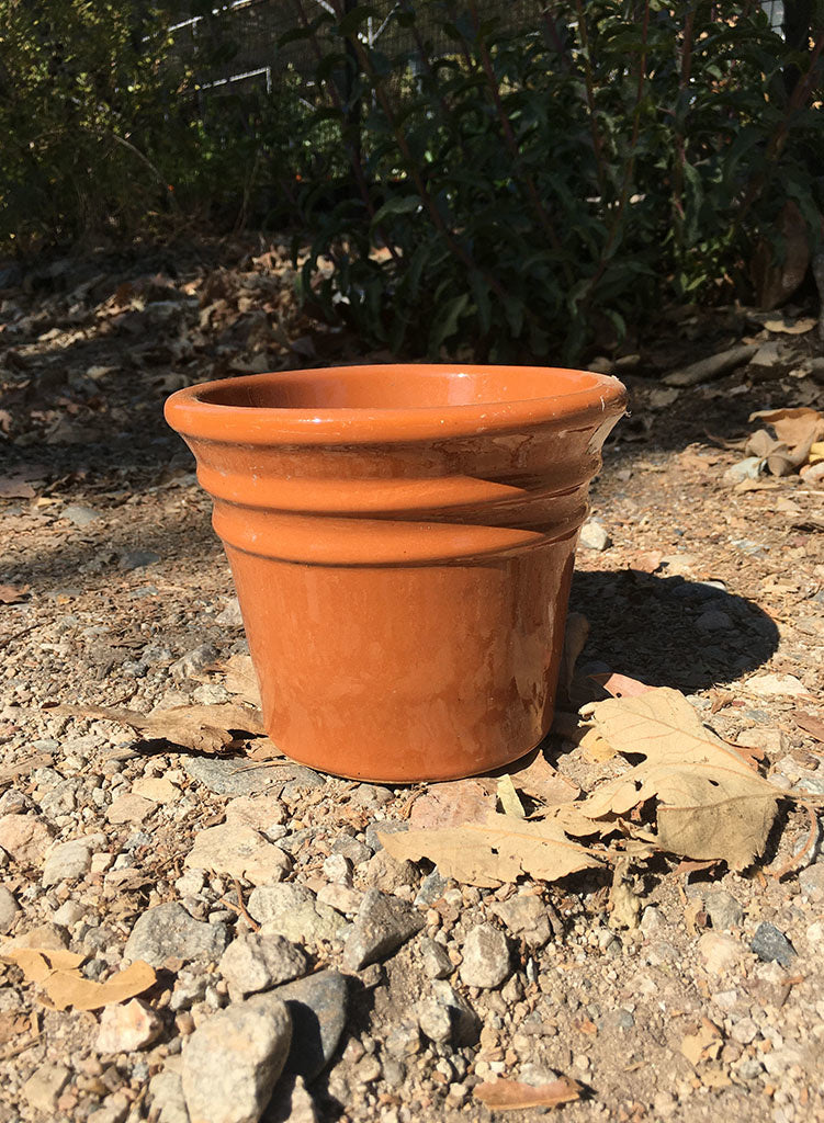 Pot - Small Glazed Bordado Brown