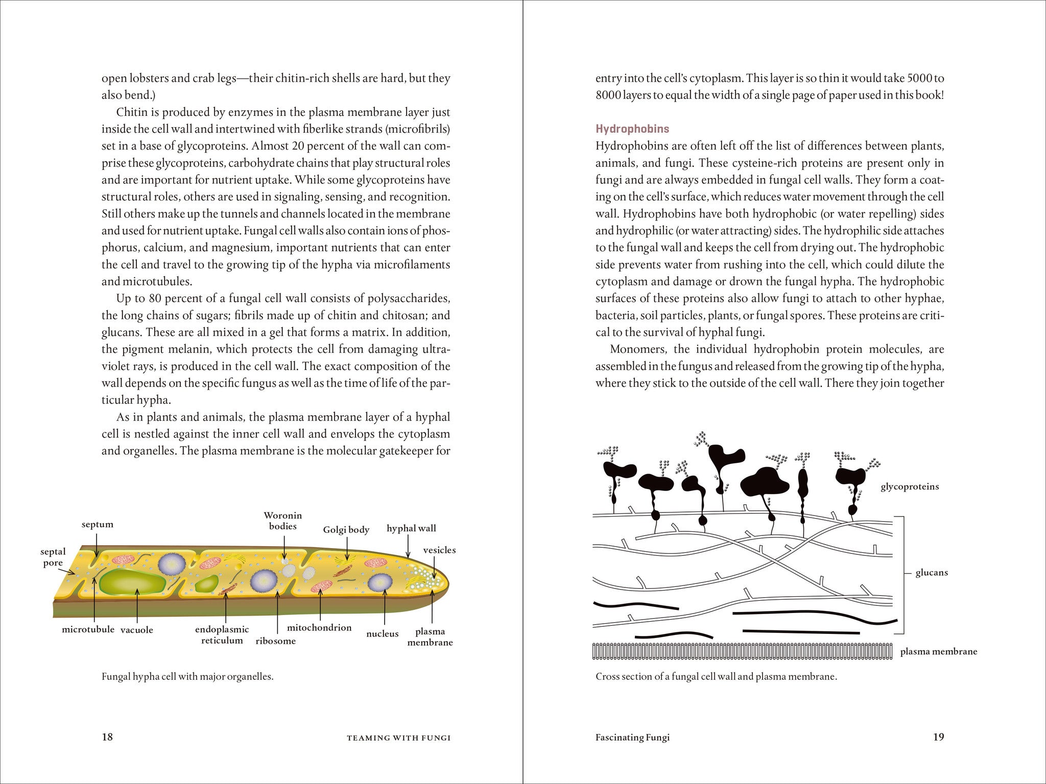 Teaming With Fungi: The Organic Grower's Guide to Mycorrhizae