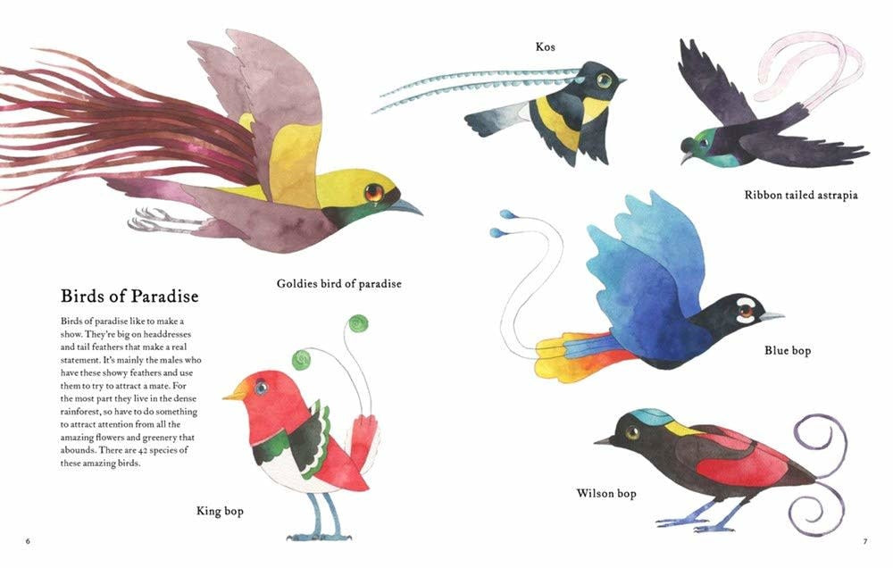 the-atlas-of-amazing-birds-01.jpg
