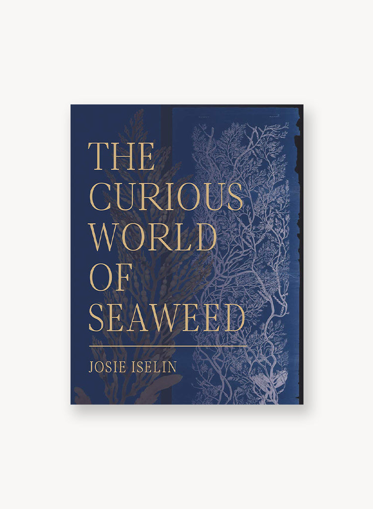 the-curious-world-of-seaweed.jpg