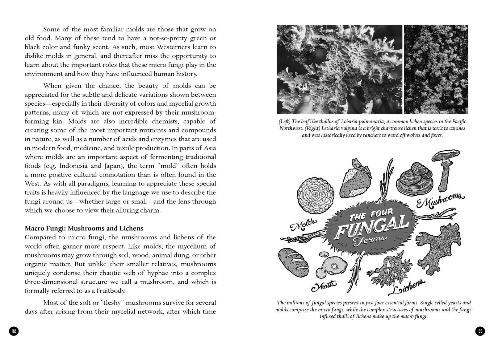The Mycocultural Revolution: Transforming Our World with Mushrooms, Lichens, and Other Fungi