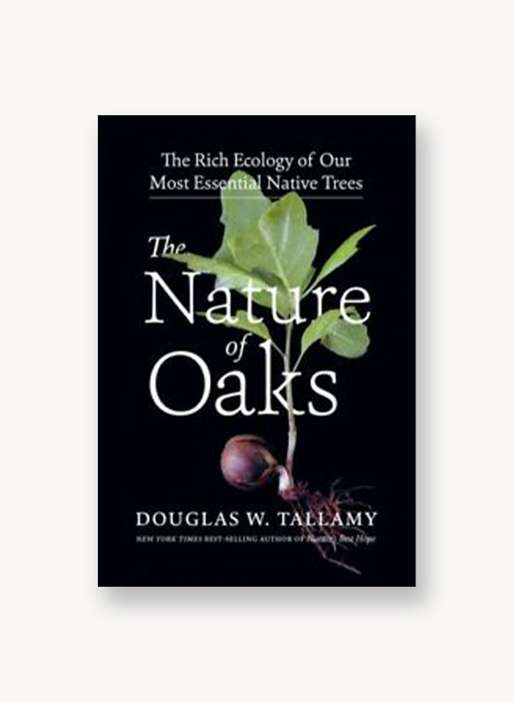 the-nature-of-oaks.jpg