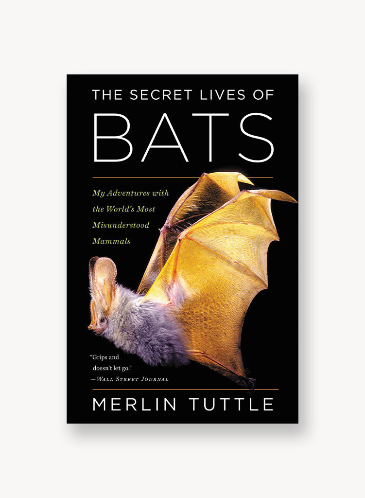 the-secret-lives-of-bats.jpg