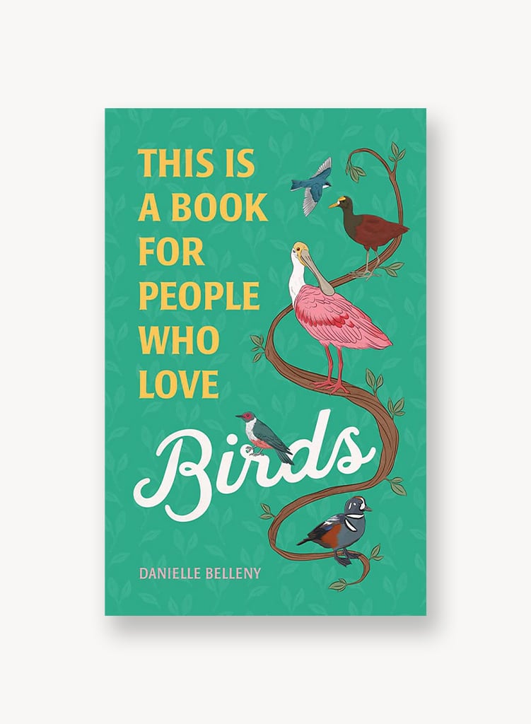 this-is-a-book-for-people-who-love-birds.jpg
