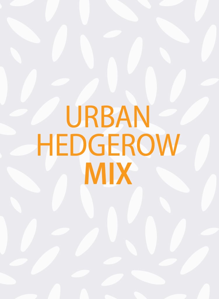urban-hedgerow-mix-seeds-751x1024.jpg