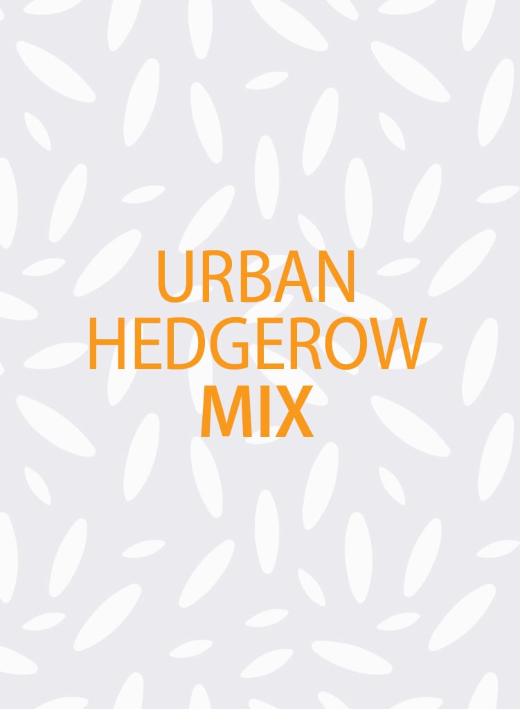 Urban Hedgerow Mix