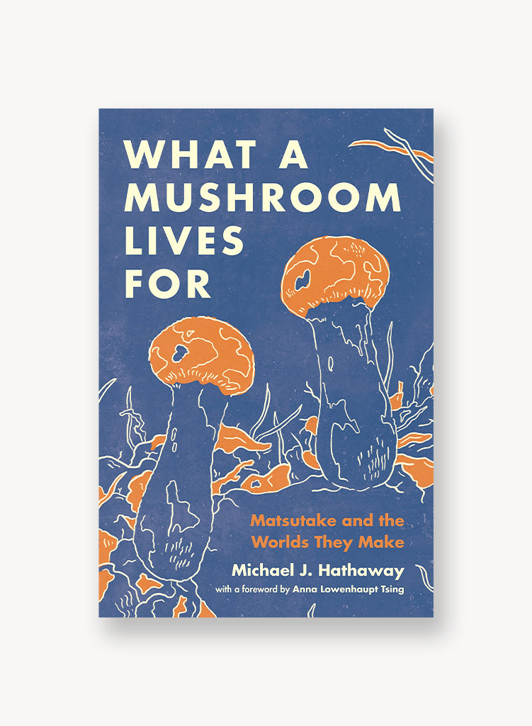 what-a-mushroom-lives-for.jpg