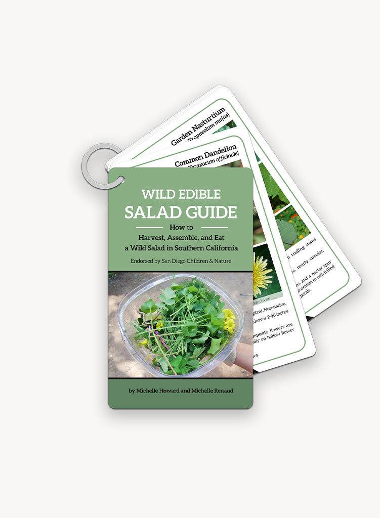 wild-edible-salad-cards.jpg