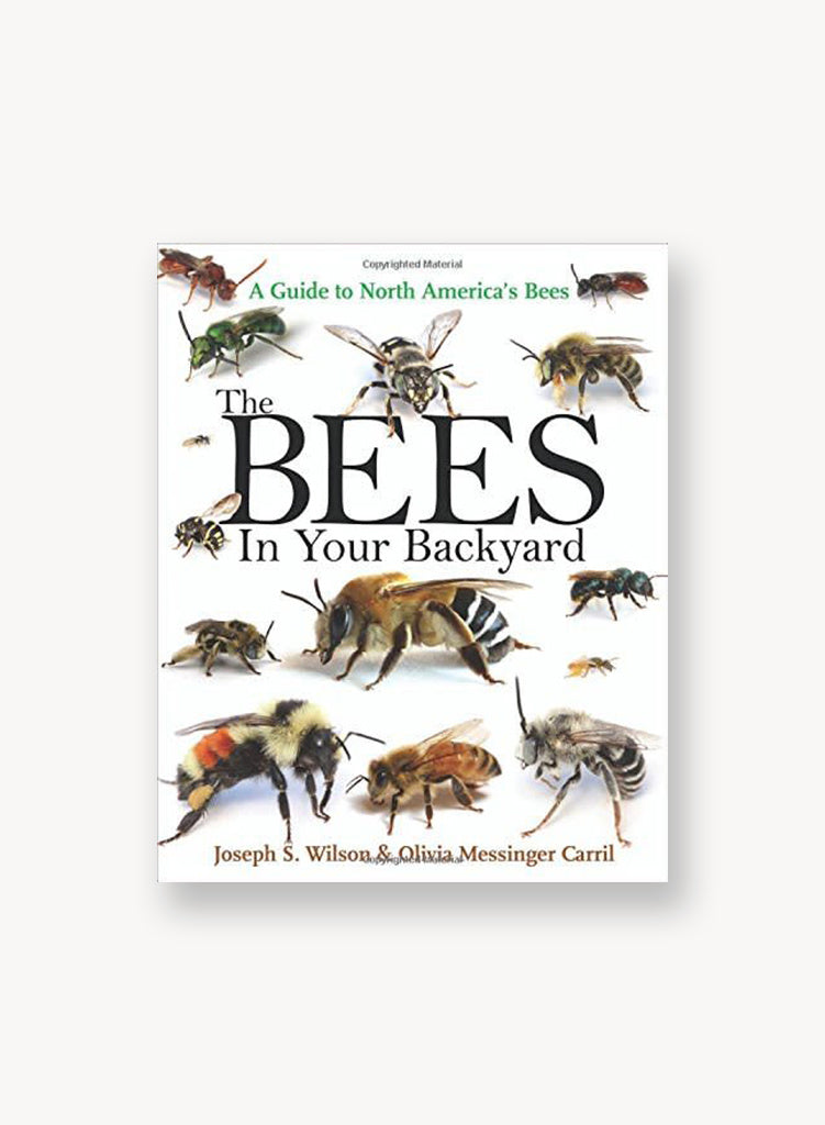bees-in-your-backyard.jpg