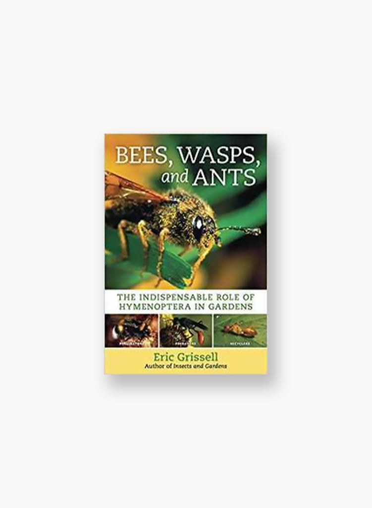 Bees, Wasps and Ants