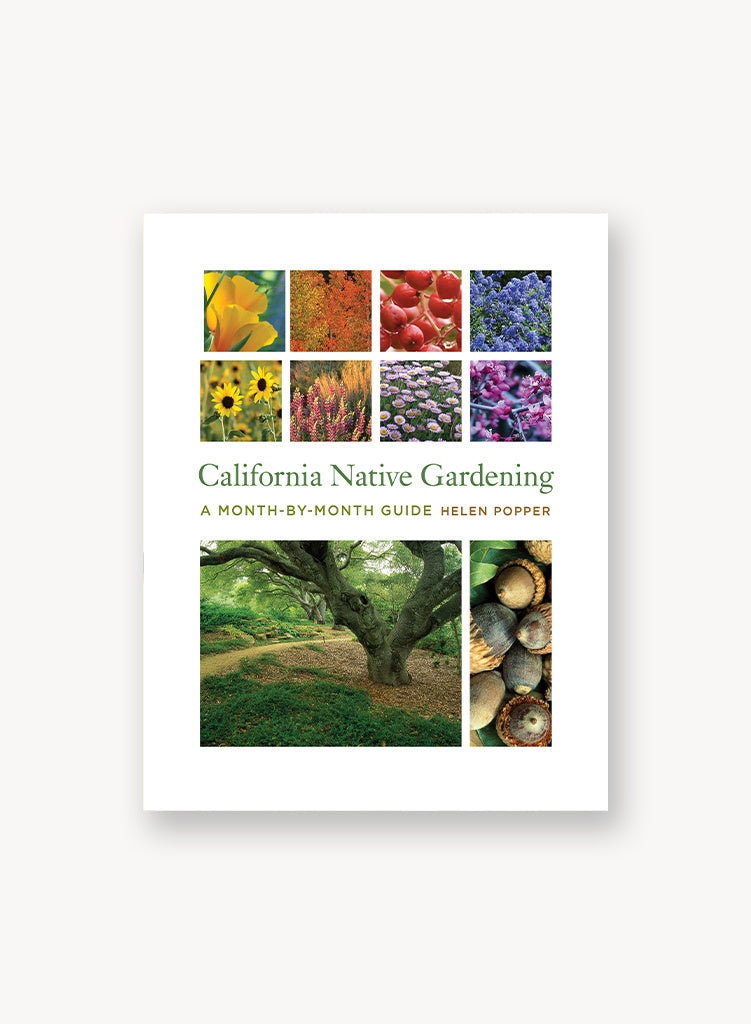 California Native Gardening: A Month-By-Month Guide