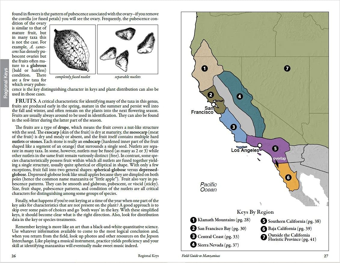 Field Guide to Manzanitas: California, North America and Mexico