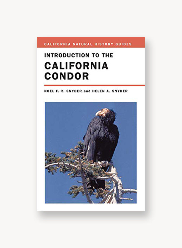 Introduction to the California Condor
