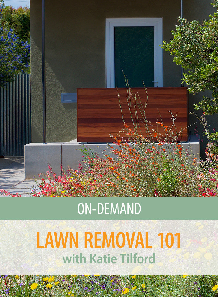 On-Demand Class: Lawn Removal 101