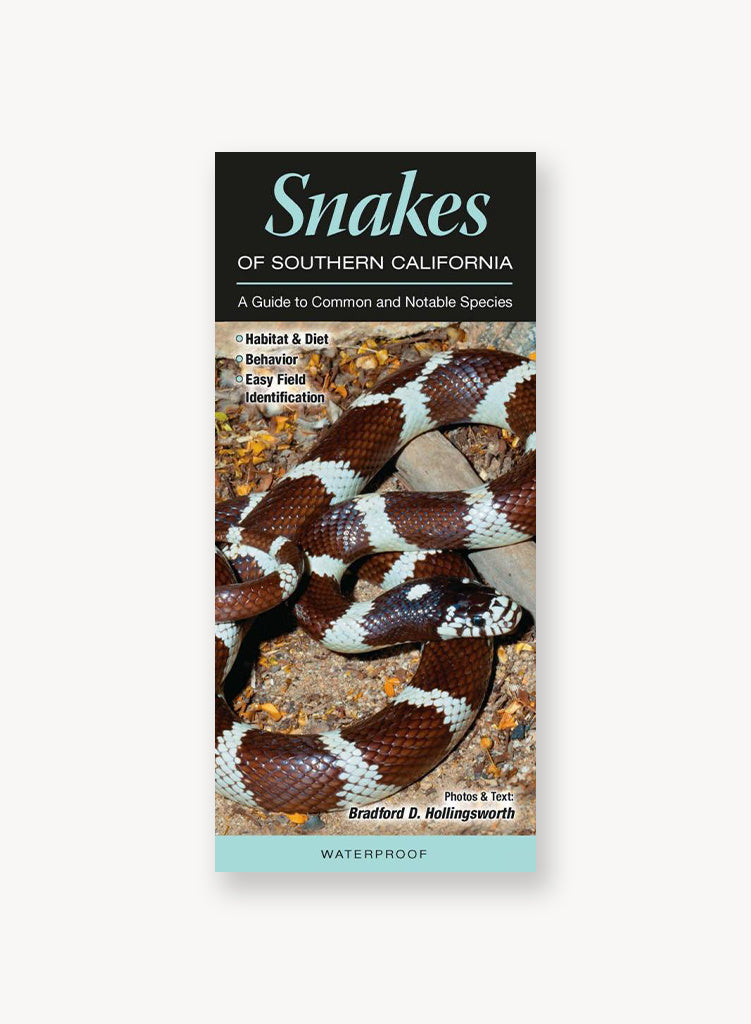 Reptiles & Amphibians