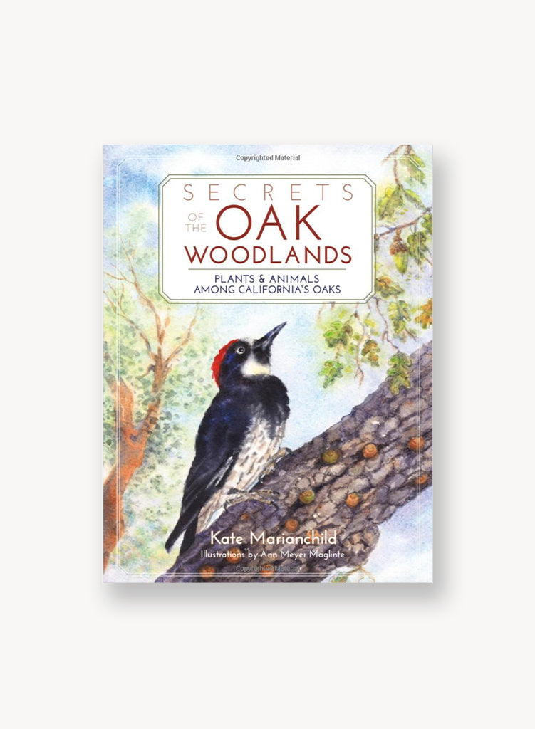 Secrets of the Oak Woodlands: Plants and Animals Among California's Oaks