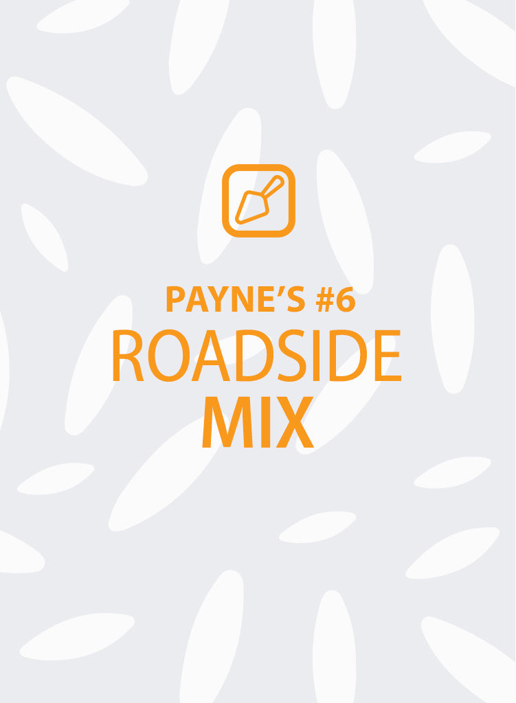 Payne's #6: Roadside Mix