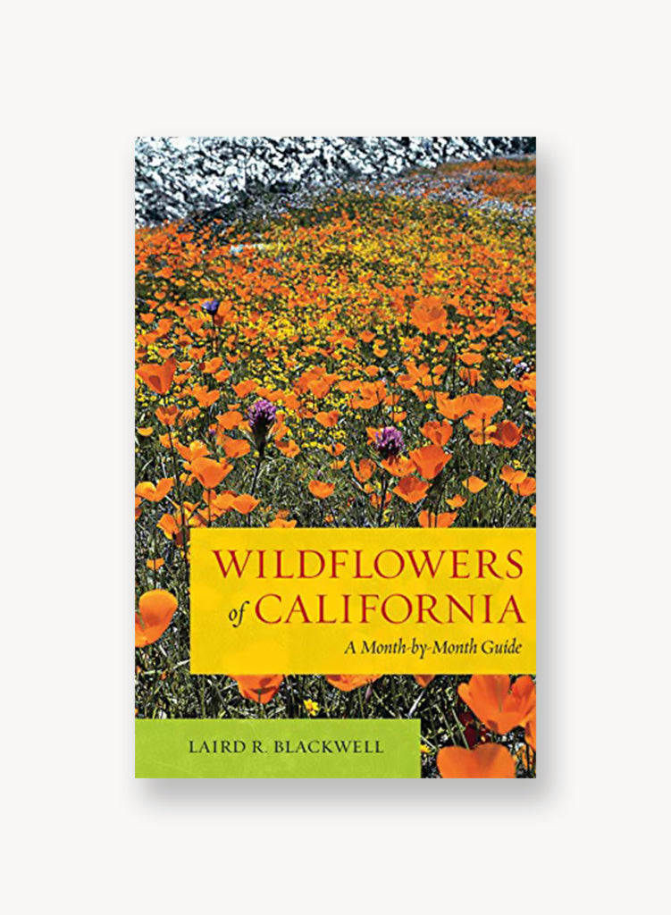 Wildflowers of California: A Month-By-Month Guide