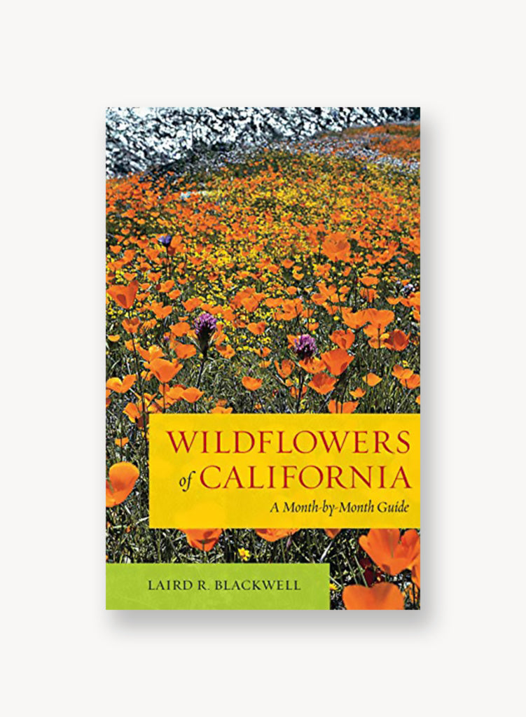 Wildflowers